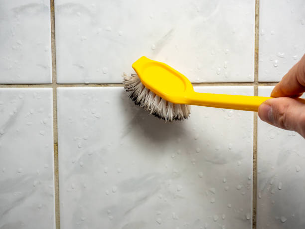 Best Post-Flood Mold Remediation in Bowie, MD