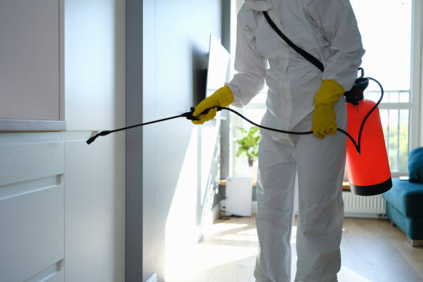 Best DIY Mold Remediation Support Services in Bowie, MD